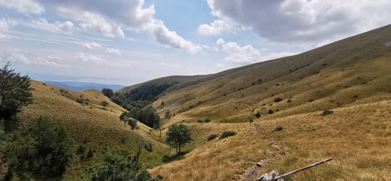 Willa Relax House Nizic Drazice Zewnętrze zdjęcie